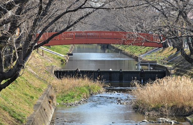 はなみ橋