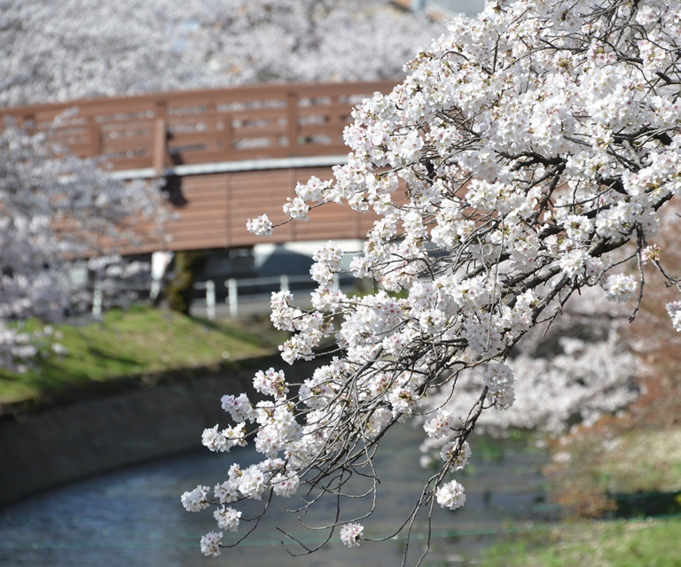 堀尾跡公園"