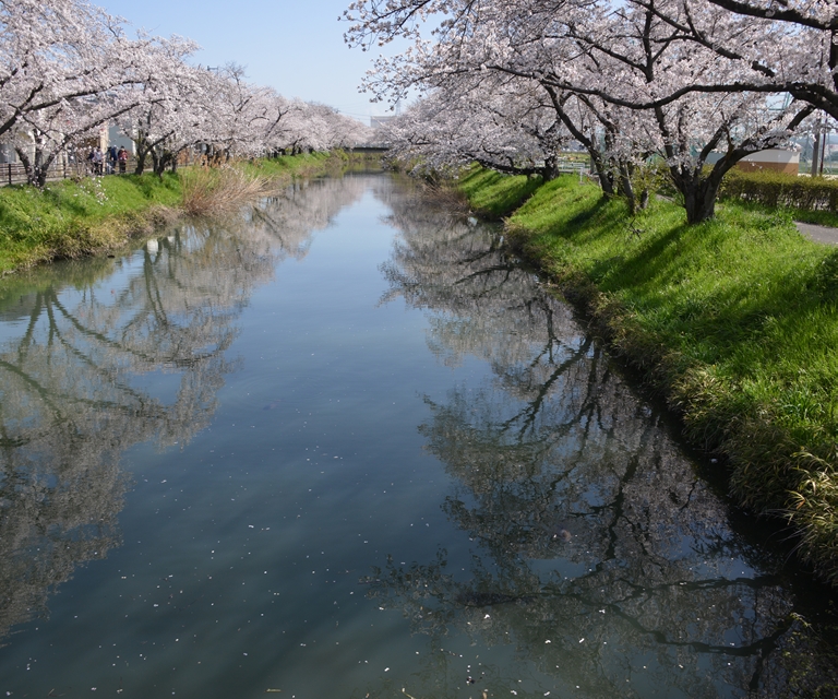 河北橋付近の画像