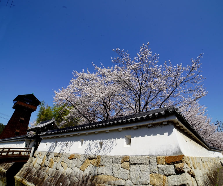 小口城址公園の画像