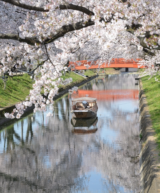 花見橋付近の画像;