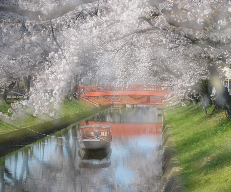 花見橋付近の画像