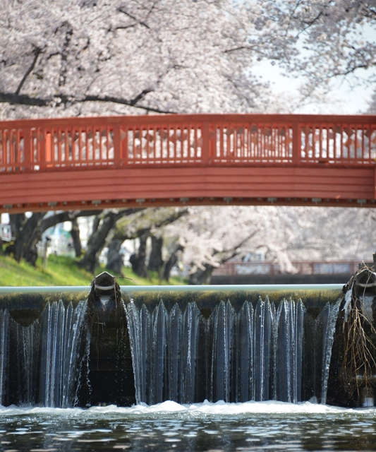 小口城址公園の画像