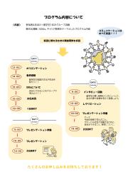 プログラム内容