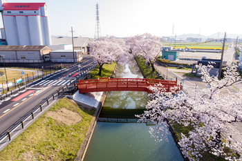 花見橋