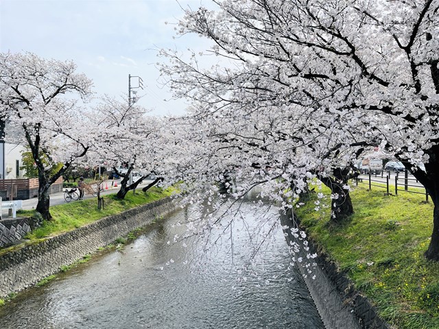 堀尾跡公園付近