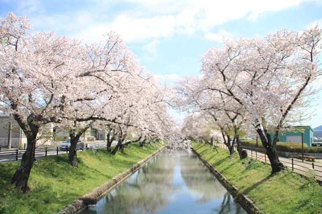 花見橋から