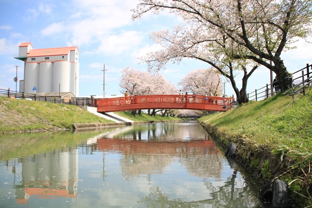 遊覧船桟橋から