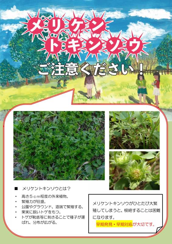 メリケン