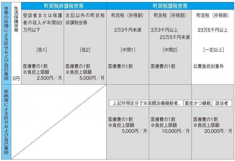 障がい者福祉制度 主に国制度 大口町