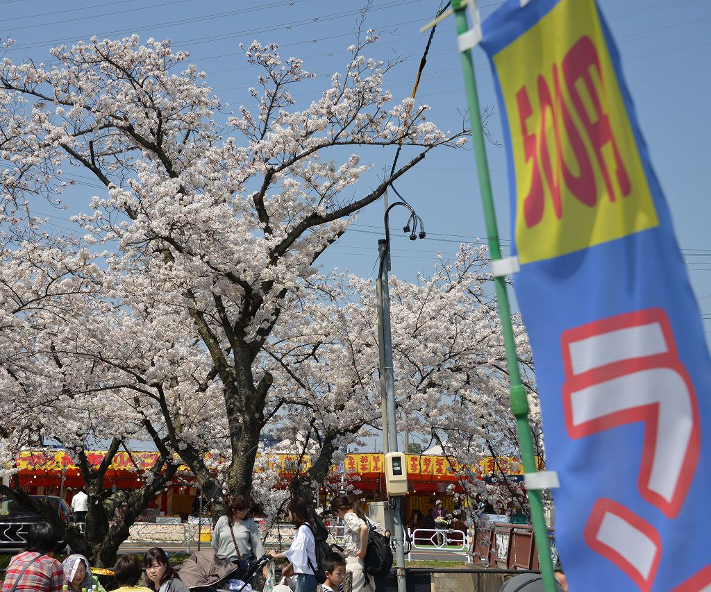 桜の花