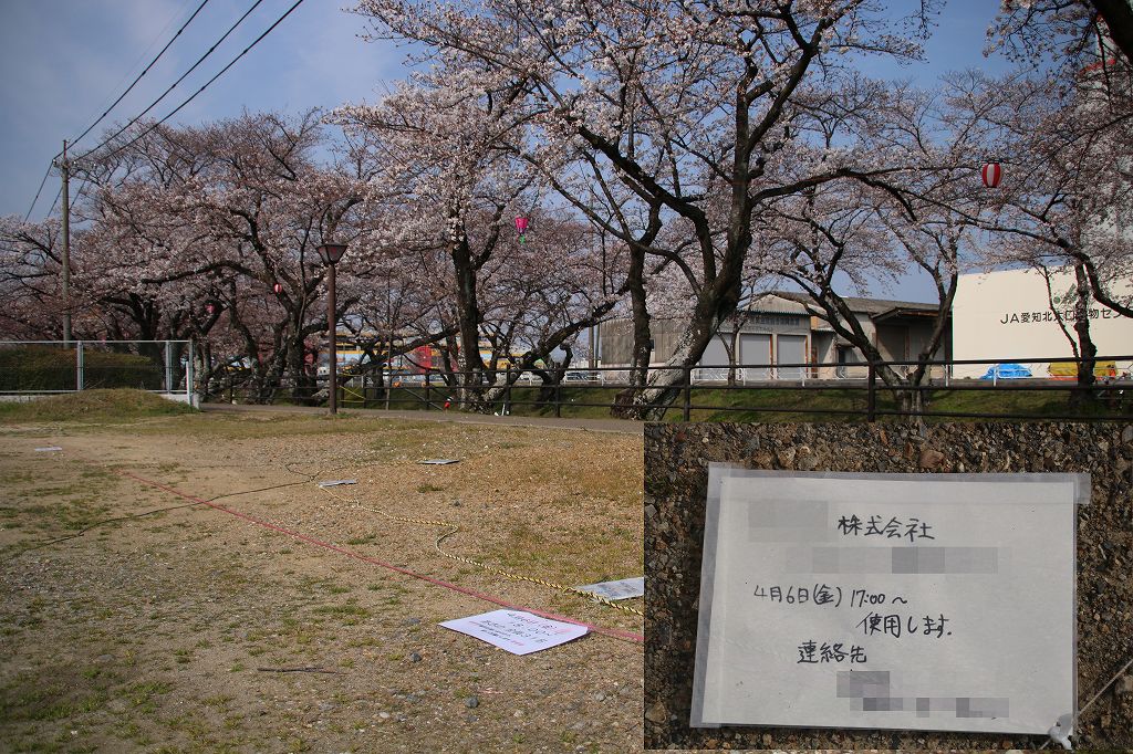 桜の花