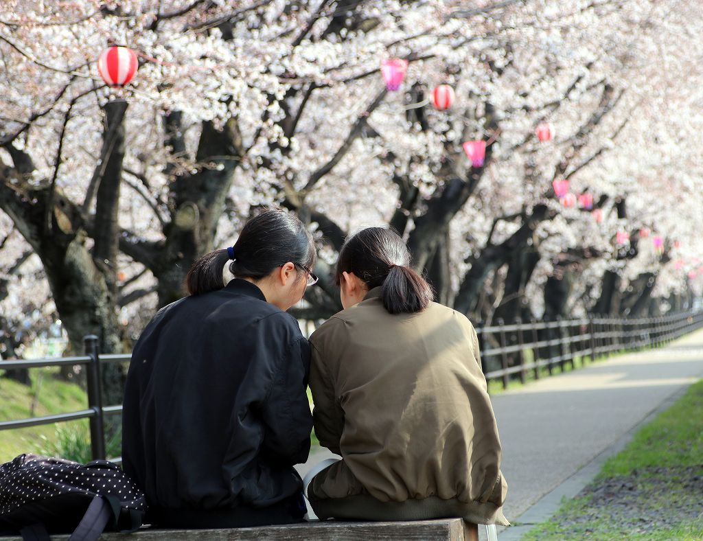 桜の花