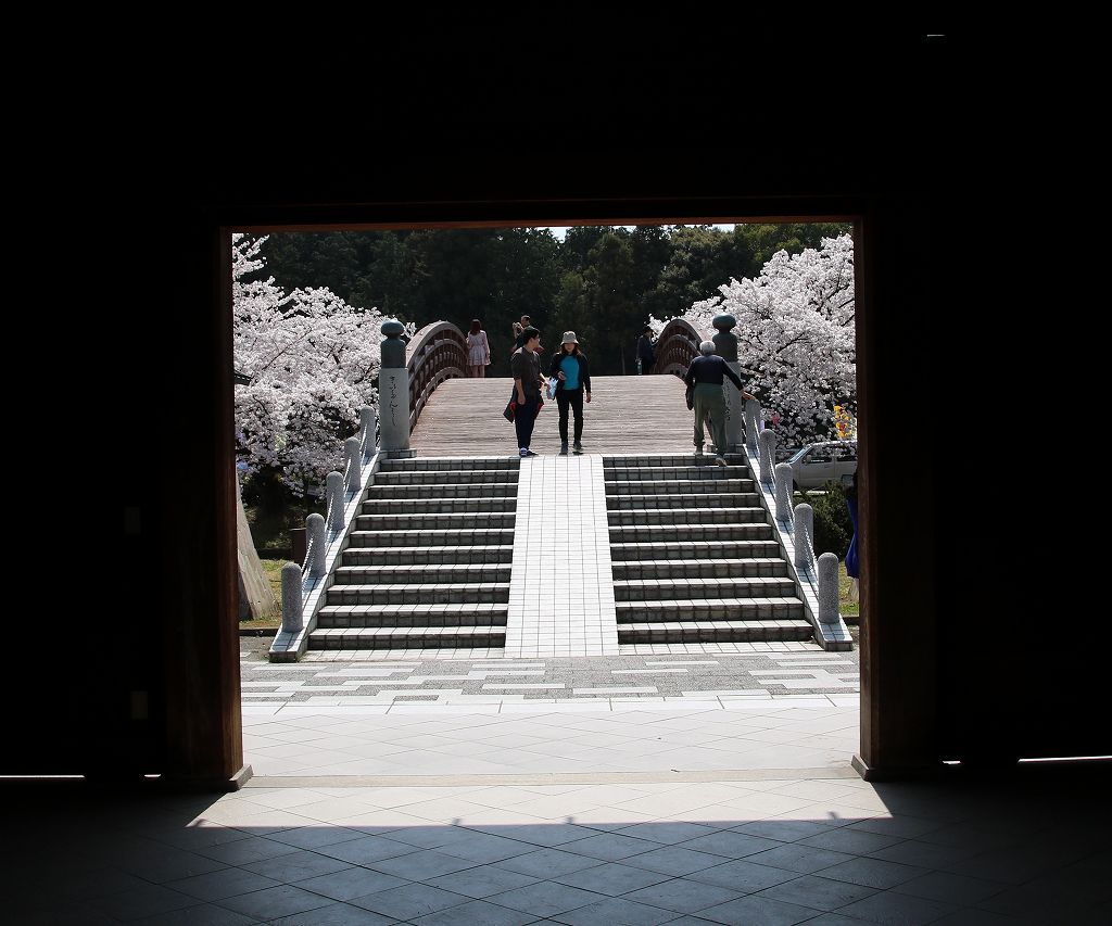 桜の花